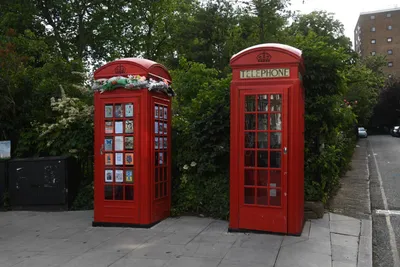 DSC_5959 (Large).JPG